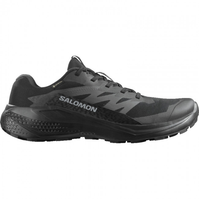 Salomon Alphaglide GTX, miesten