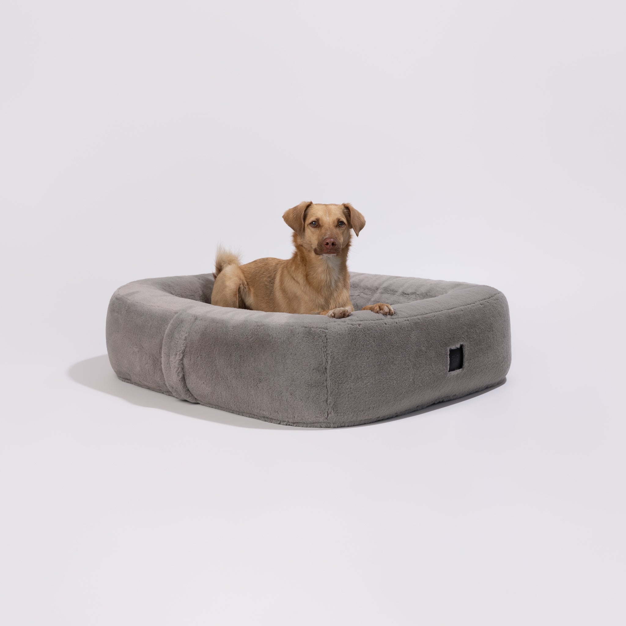 Pebble koiranpeti - Tekoturkis jänis, Grey / S