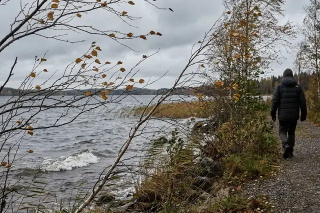 Tuuli liikuttaa puiden oksia järven rannalla.